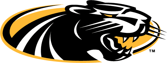 Wisconsin-Milwaukee Panthers 2002-2010 Alternate Logo diy fabric transfer...